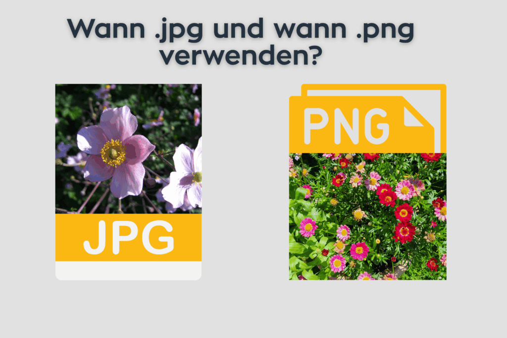 Wann .jpg und wann .png verwenden: Das richtige Bilddateiformat für den Blog