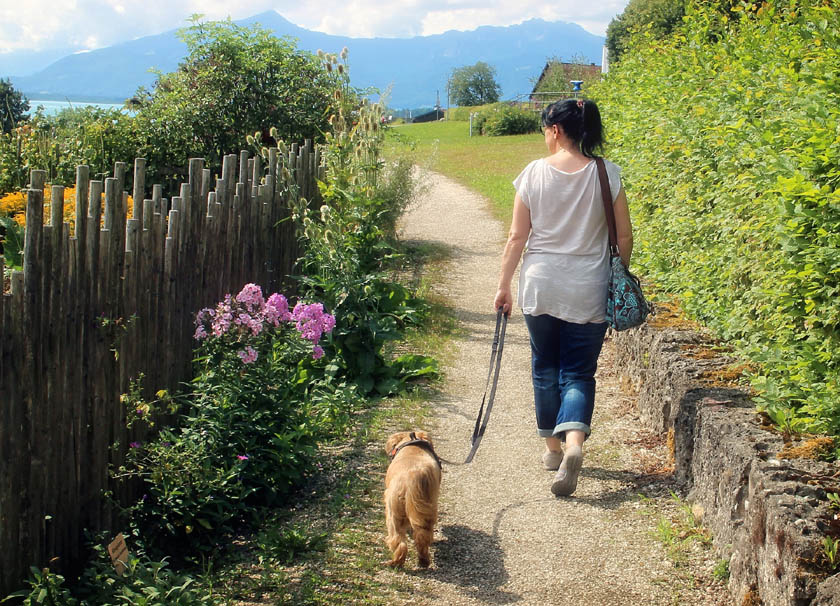 Home-Office: Auch Gassi-Gehen ist möglich